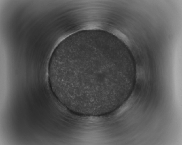 X0000095911226200802081046