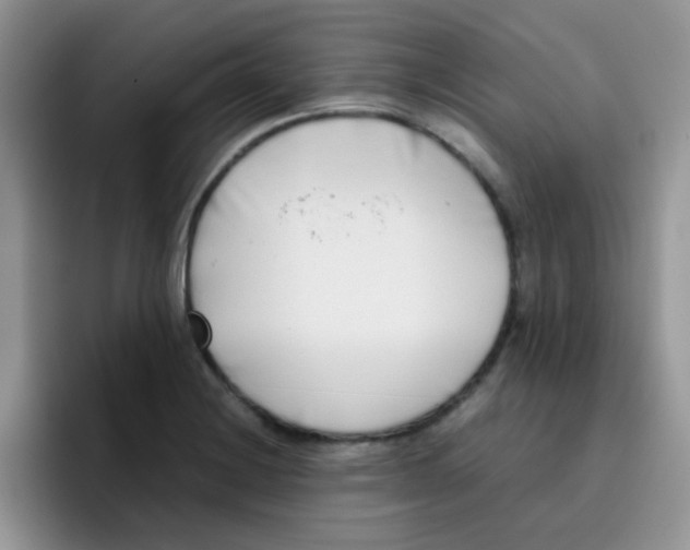 X0000095911228200802081046