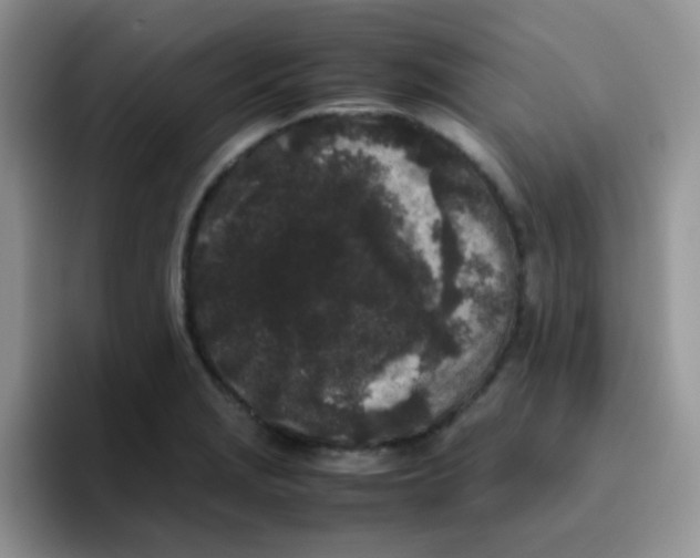 X0000095911229200802081046