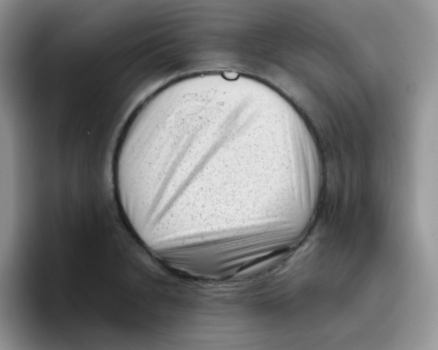 X0000095911230200802081046