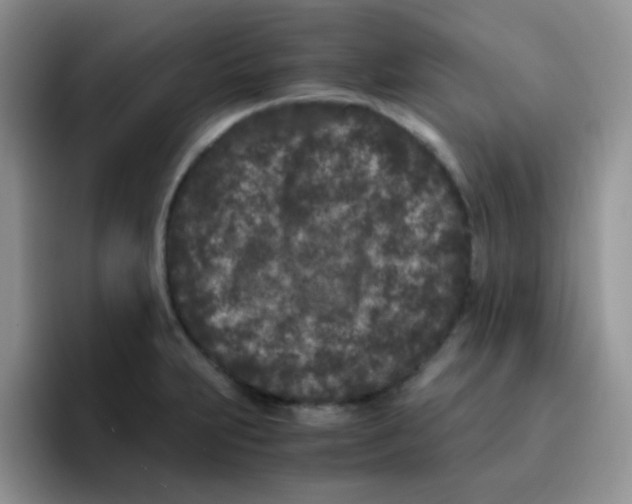 X0000095911231200802081046