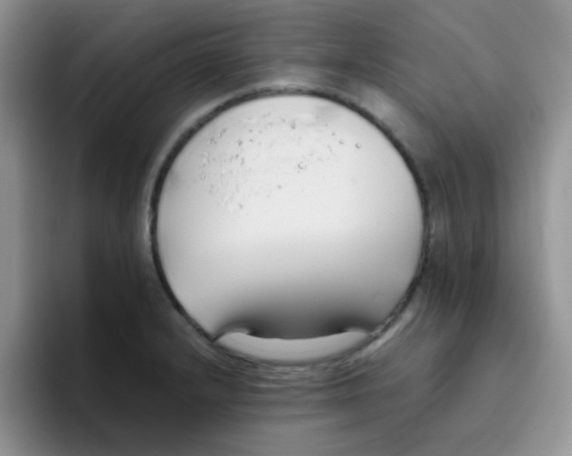 X0000095911232200802081046