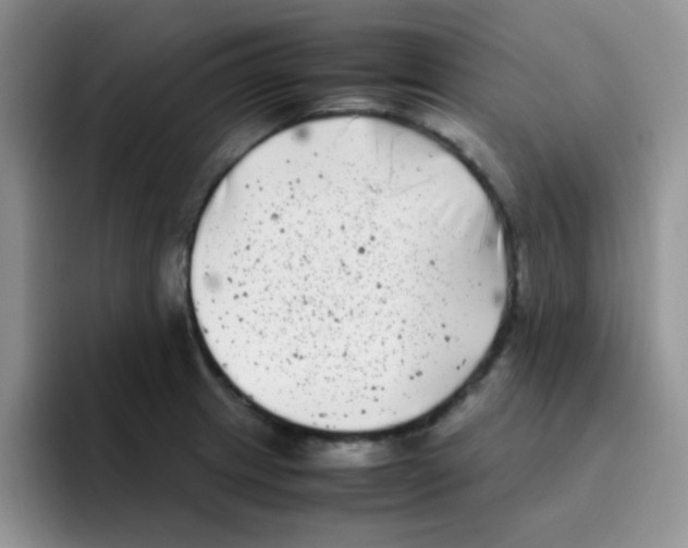 X0000095911233200802081046