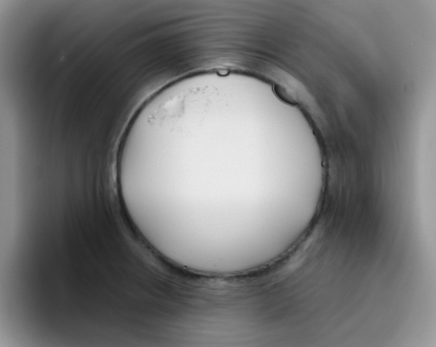 X0000095911234200802081046