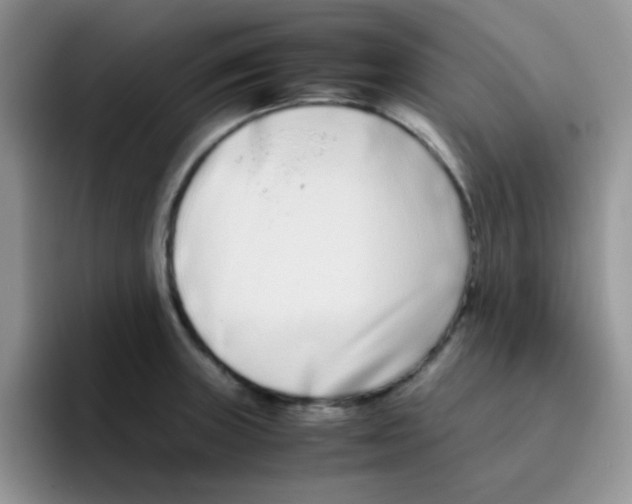 X0000095911235200802081046