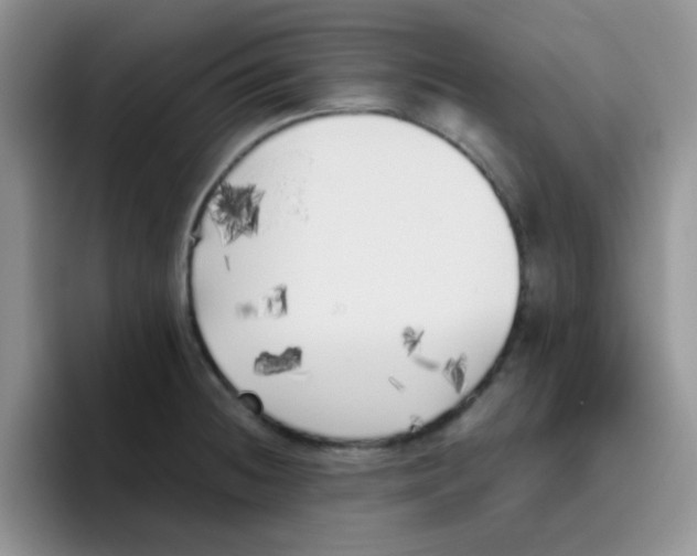 X0000095911236200802081046
