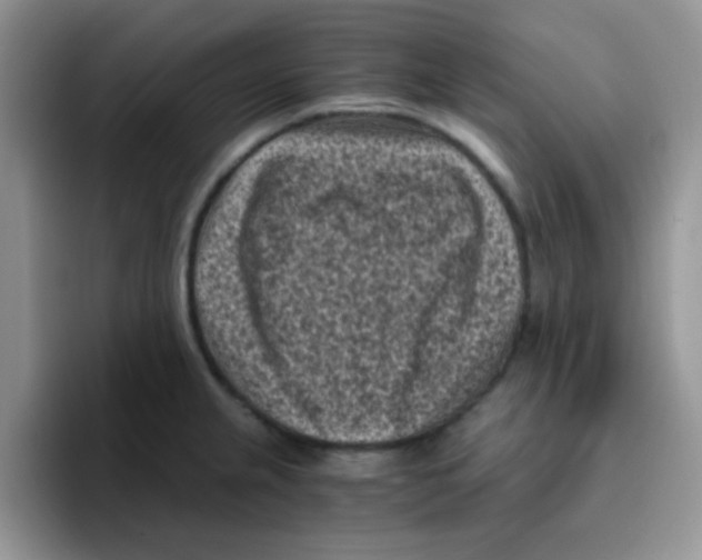 X0000095911237200802081046