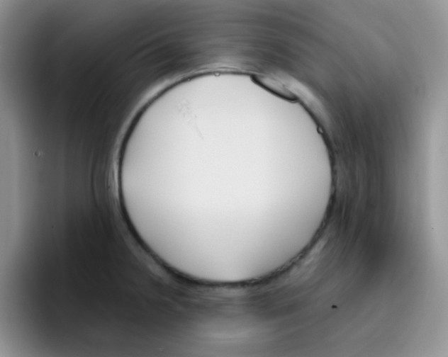 X0000095911238200802081046