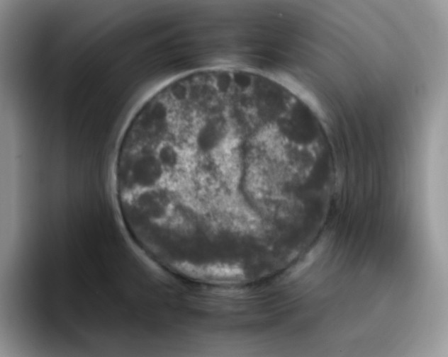 X0000095911239200802081046