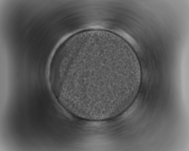 X0000095911240200802081046