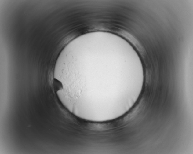 X0000095911241200802081046