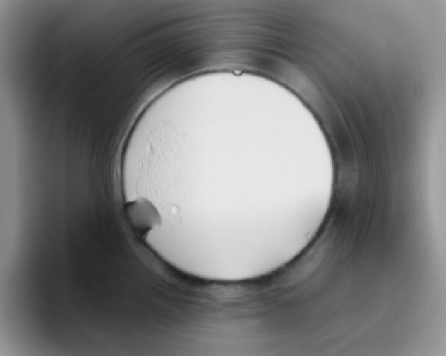 X0000095911242200802081046