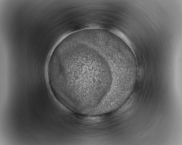 X0000095911243200802081046