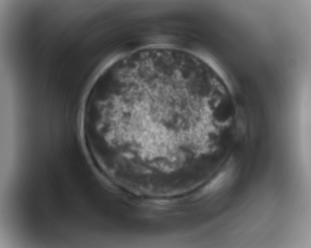 X0000095911245200802081046