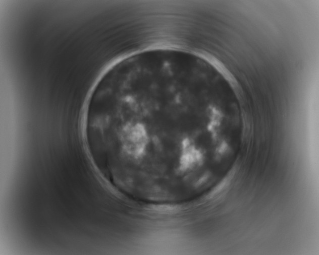 X0000095911246200802081046