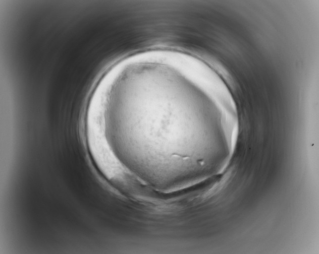 X0000095911247200802081046