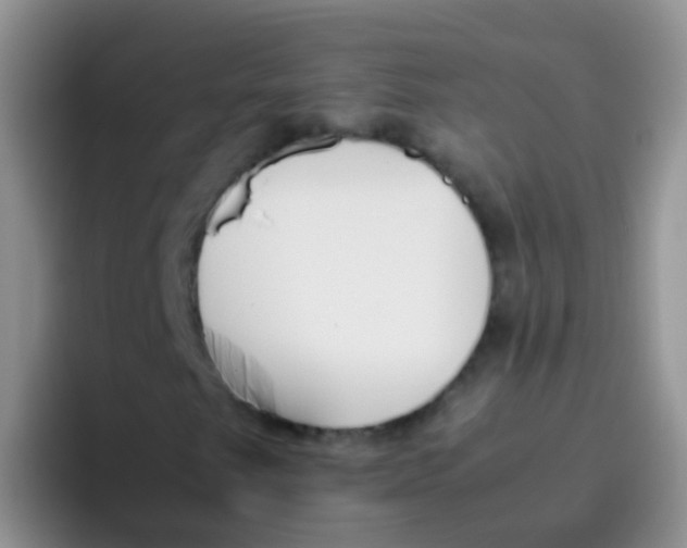 X0000095911249200802081046