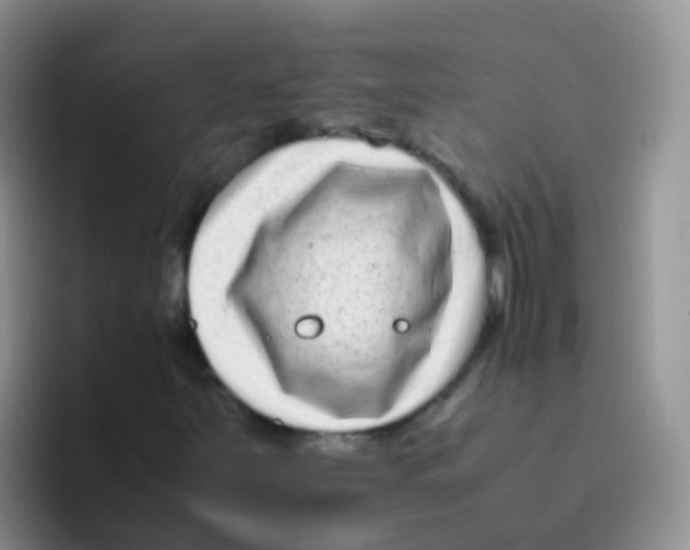 X0000095911251200802081046