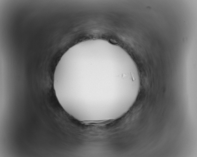 X0000095911253200802081046