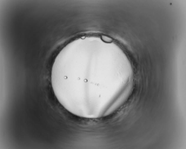 X0000095911255200802081046