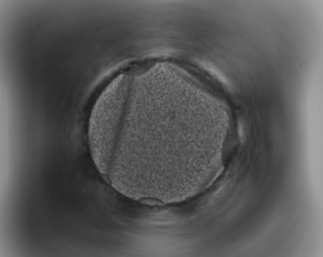 X0000095911256200802081046