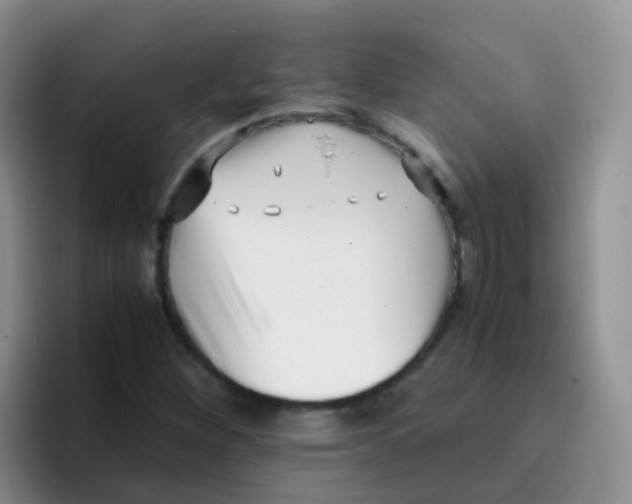 X0000095911260200802081046