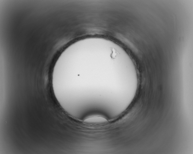 X0000095911261200802081046