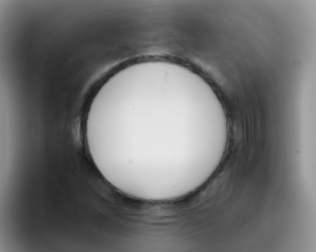 X0000095911262200802081045