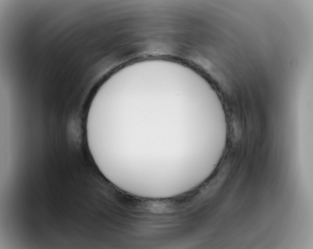 X0000095911266200802081045