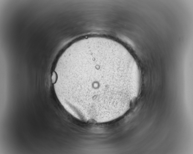 X0000095911267200802081045