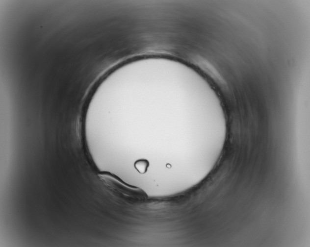 X0000095911268200802081045