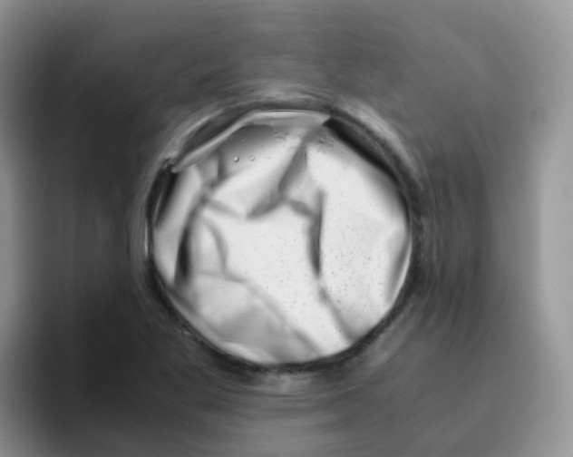 X0000095911269200802081045