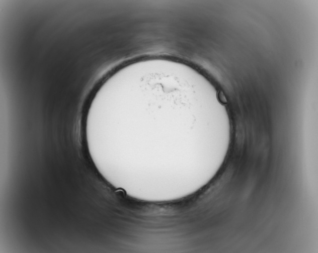 X0000095911270200802081045