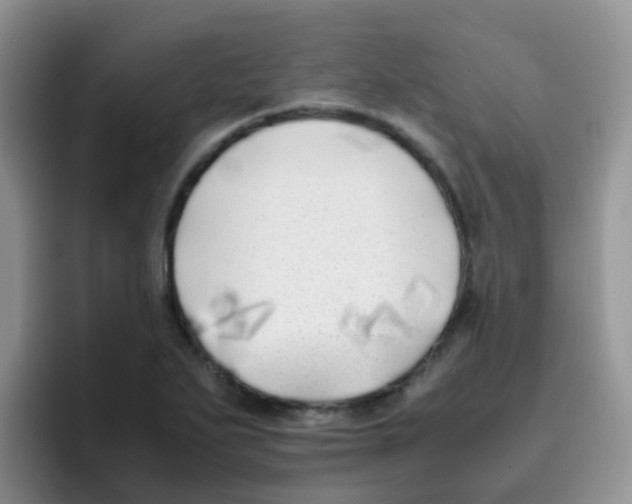X0000095911271200802081045