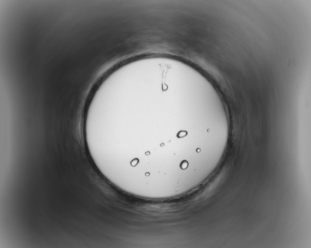 X0000095911272200802081045