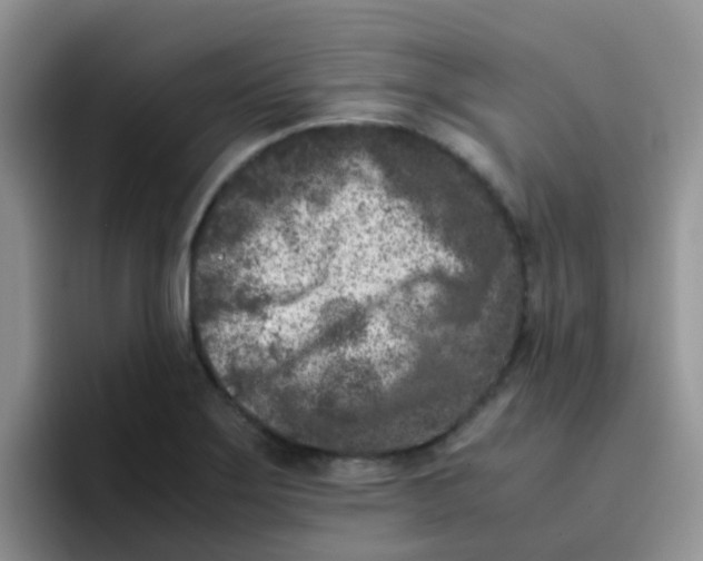 X0000095911275200802081045