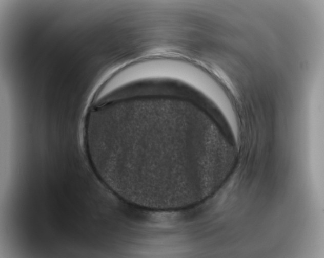 X0000095911277200802081045