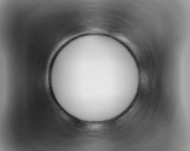 X0000095911278200802081045