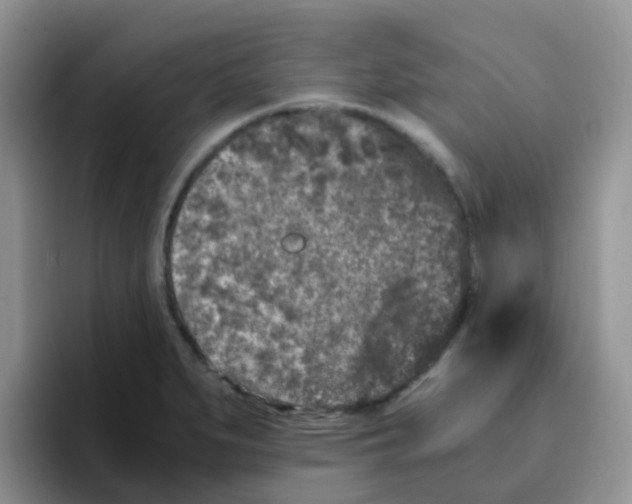 X0000095911279200802081045