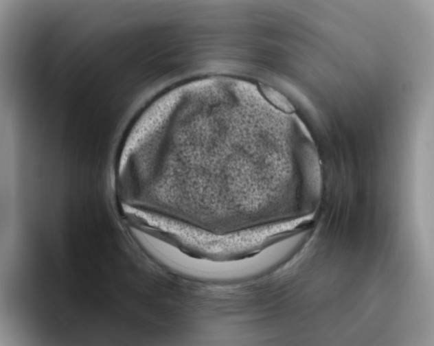 X0000095911280200802081045