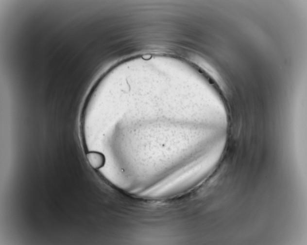 X0000095911283200802081045