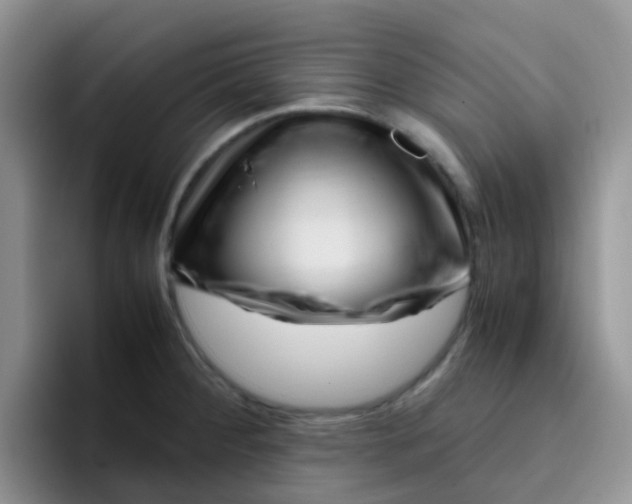 X0000095911284200802081045