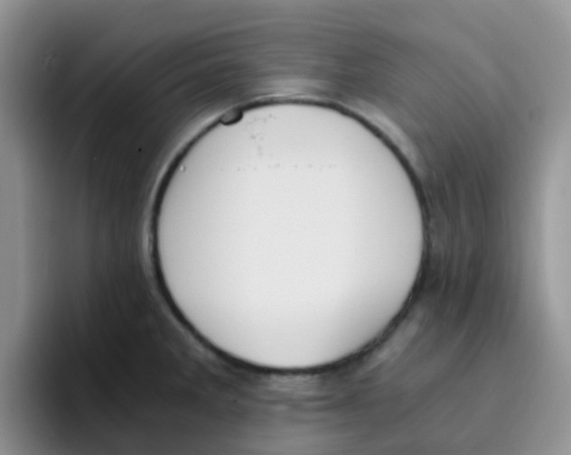 X0000095911285200802081045