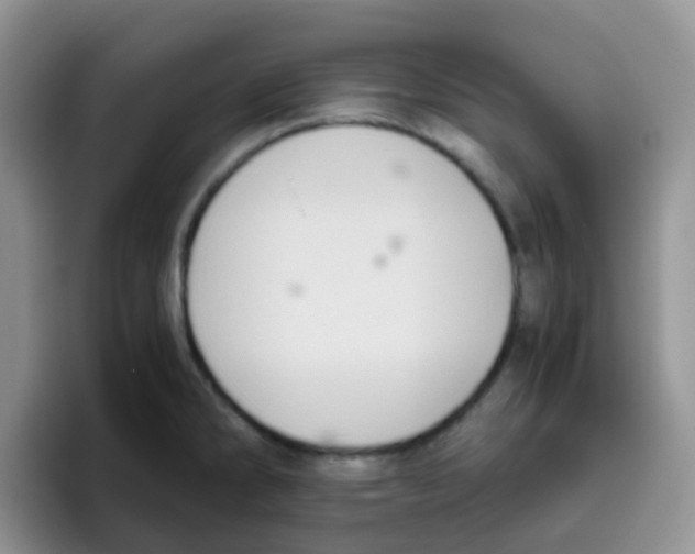 X0000095911286200802081045