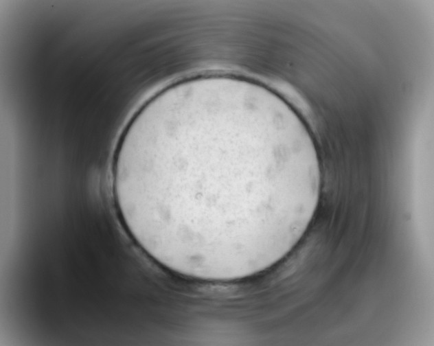 X0000095911287200802081045