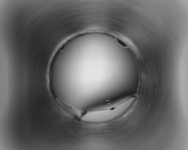 X0000095911288200802081045