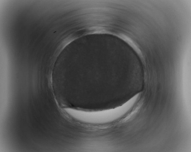 X0000095911289200802081045