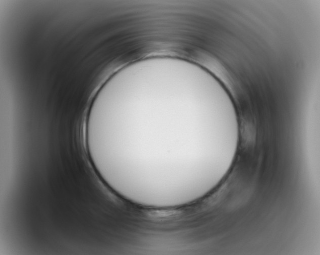 X0000095911290200802081045