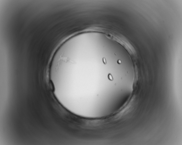 X0000095911292200802081045