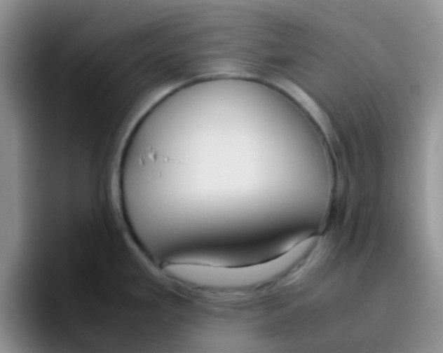 X0000095911293200802081045